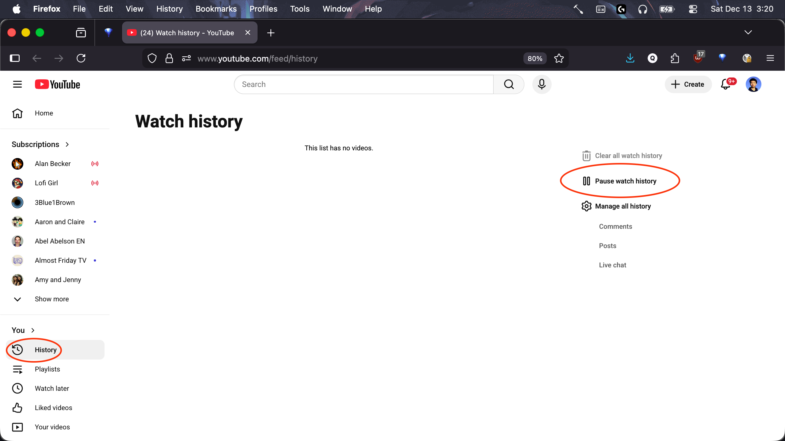 Picture of YT History page